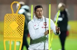 电子竞技体育平台-莱万多夫斯基辱华了吗